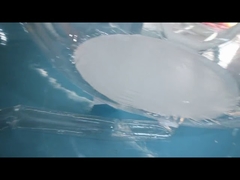 맑은 PVC 4m 싱글 터널 풍선 텐트