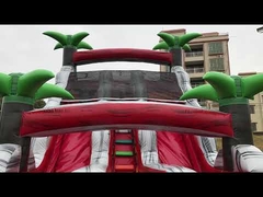 수영장과 함께 PVC 텐포인 펑크 پروف 펌플 수면 슬라이드